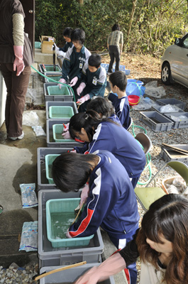 揖保郡太子町 亀田遺跡 第1分冊 ・第2分冊 の合計2冊 兵庫県教育委員会