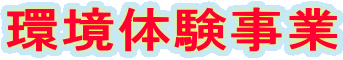 ���̌����� 