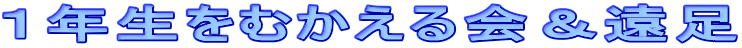 PNނ 