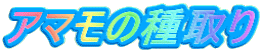 �A�}���̎���