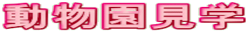 ���������w