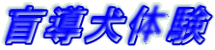 �ӓ����̌�