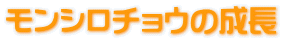 V`E̐