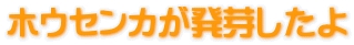 zEZJ肵