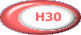 H30