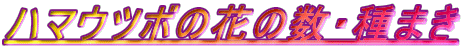 �n�}�E�c�{�̉Ԃ̐��E��܂�